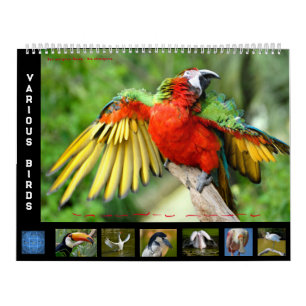 12 calendar of photos of various birds