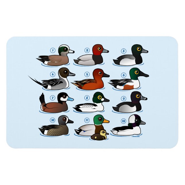 12 Ducks Magnet (Horizontal)