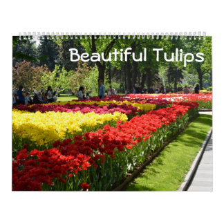 12 month Beautiful Tulips Calendar