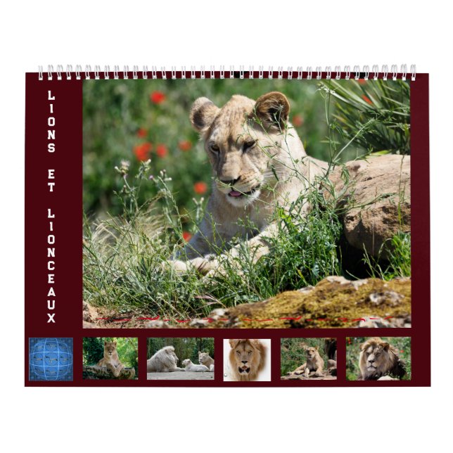 12 month calendar Lion family (Cover)