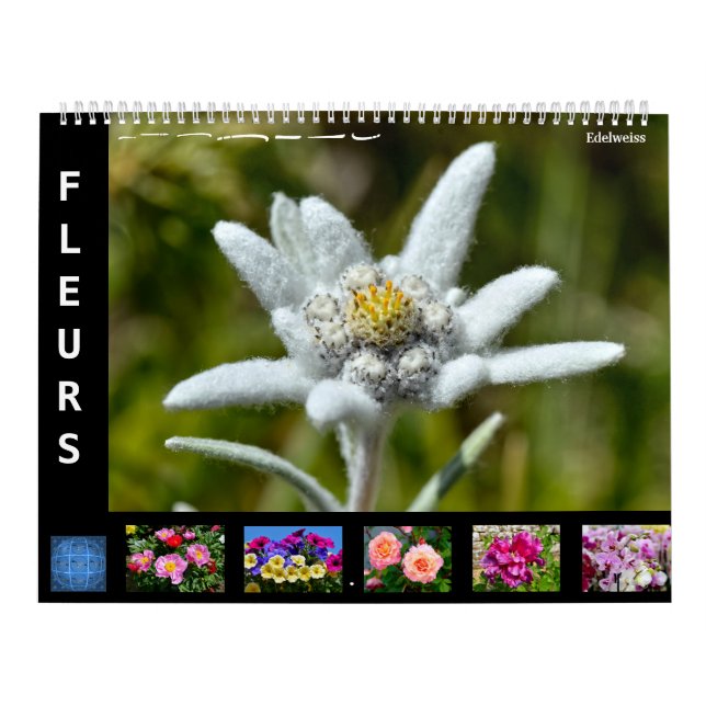 12 month calendar of various flowers (Cover)