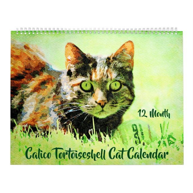 12 Month Calico Tortoiseshell Cats Watercolor Gift Calendar (Cover)