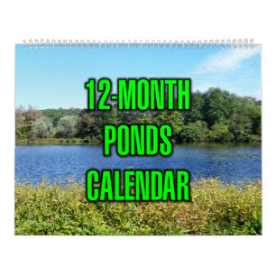 12-Month Ponds Calendar