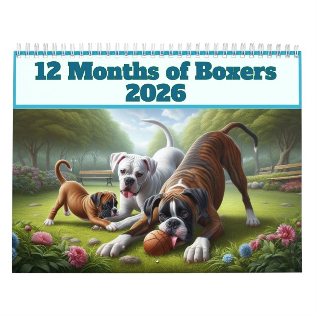 12 Months of Boxer Dogs: Year Long Boxer Dog Fun Calendar (Cover)