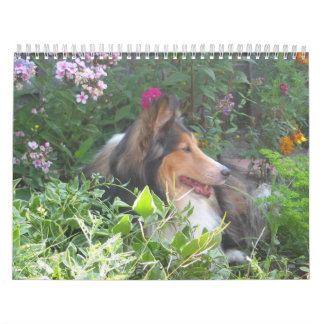 12 Months of Dudley Calendar