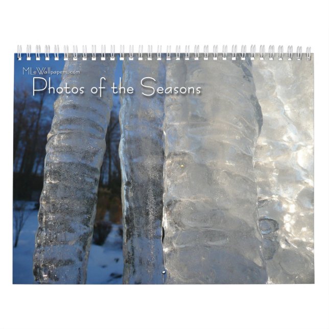 12 Months of Photos of the Seasons, 1st Edition Calendar (Cover)