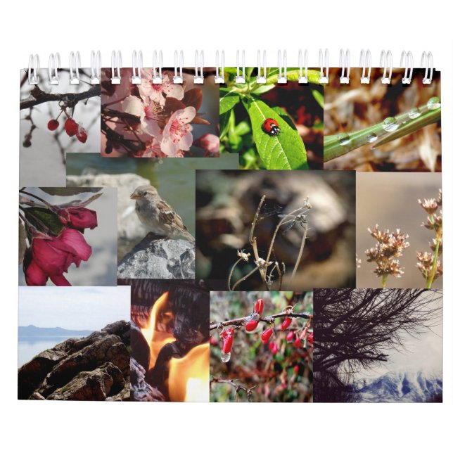 12 Months of the Year New Zealand Calendar (Back)