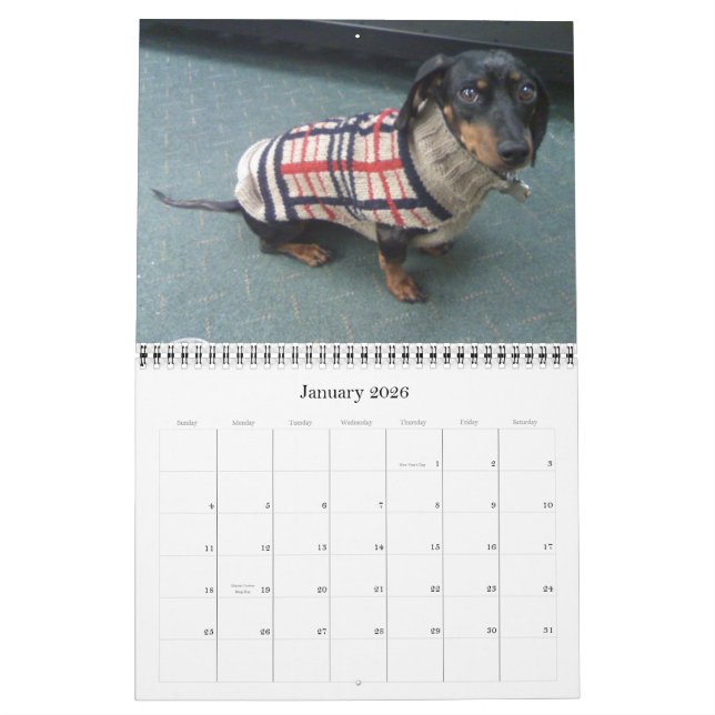 12 months with the tootise dog calendar (Jan 2026)