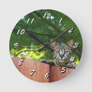 12 Number Choices to Choose --Cat Clock