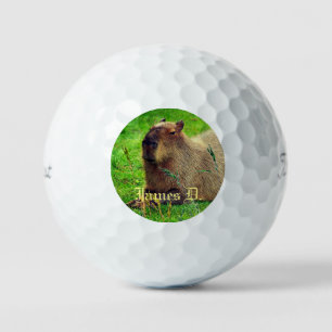 12 Pack- Fun Personalised Capybara Animal Golf Balls