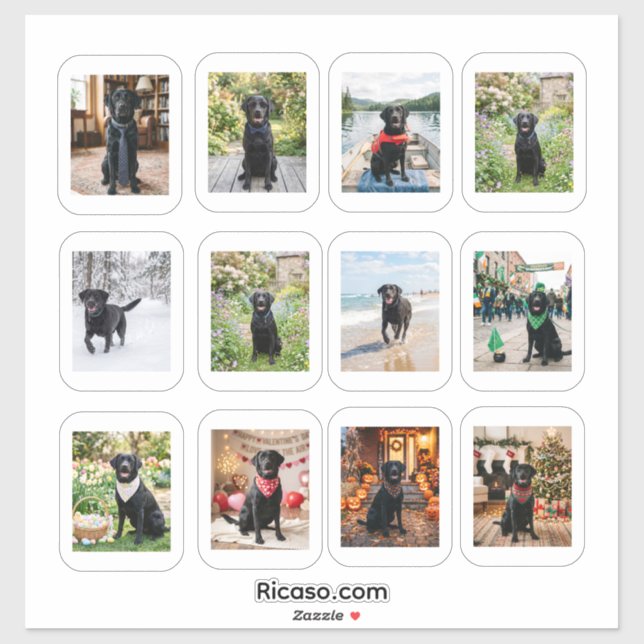 12 Personalised Photo With White Frame (Sheet)