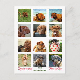 12 Picture Family Photo ✨  Collage Christmas Postcard