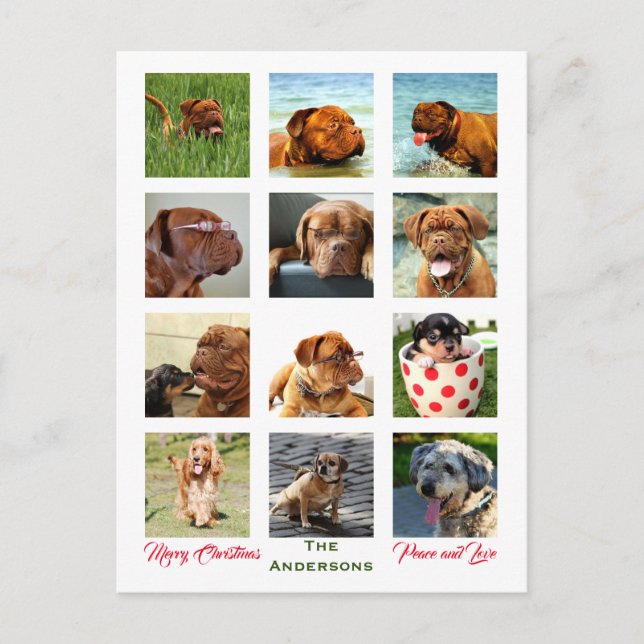 12 Picture Family Photo ✨  Collage Christmas Postcard (Front)