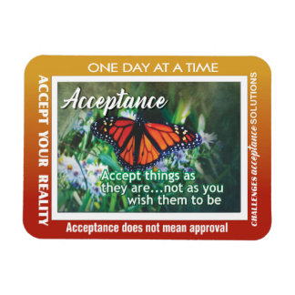 12 step acceptance magnet 26 butterflies