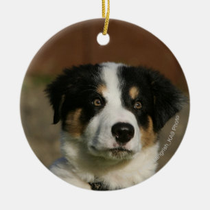 12 Week Old Border Collie Puppy Headshot Ceramic Tree Decoration