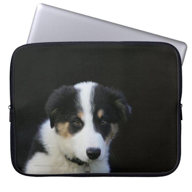 12 Week Old Border Collie Puppy Laptop Sleeve (Front)