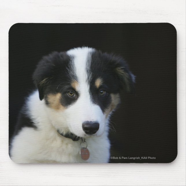 12 Week Old Border Collie Puppy Mouse Pad (Front)