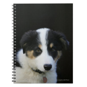 12 Week Old Border Collie Puppy Spiral Notebook