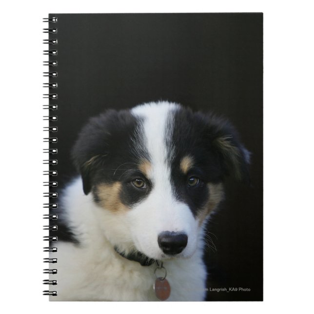 12 Week Old Border Collie Puppy Spiral Notebook (Front)