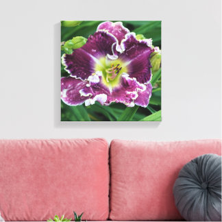 12"x12" Daylily Canvas Print
