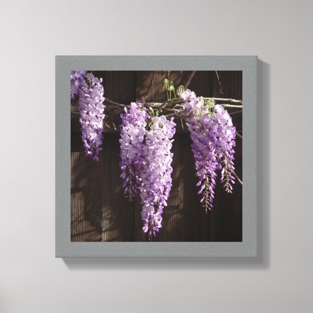 12" x 12" Purple Wisteria on Wooden Fence Canvas Print (Front)