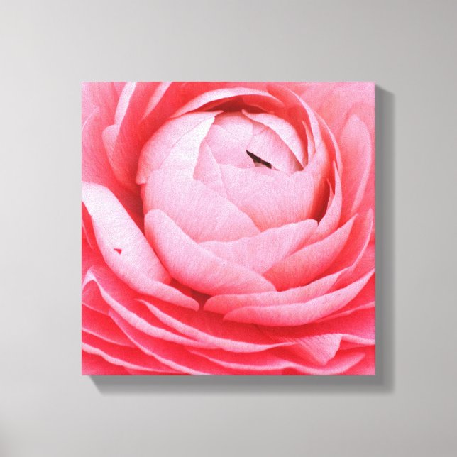 12" x 12" Wrapped Canvas - Pink Flower (Front)
