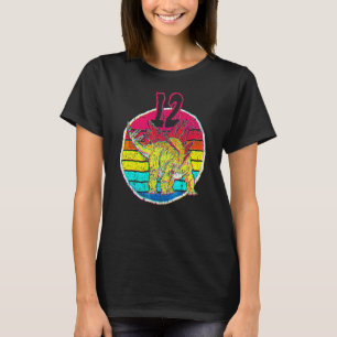 12th Birthday I Stegosaurus Stenops I Family Match T-Shirt