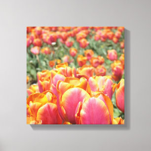 12x12 canvas art print Tulip Flowers square canvas