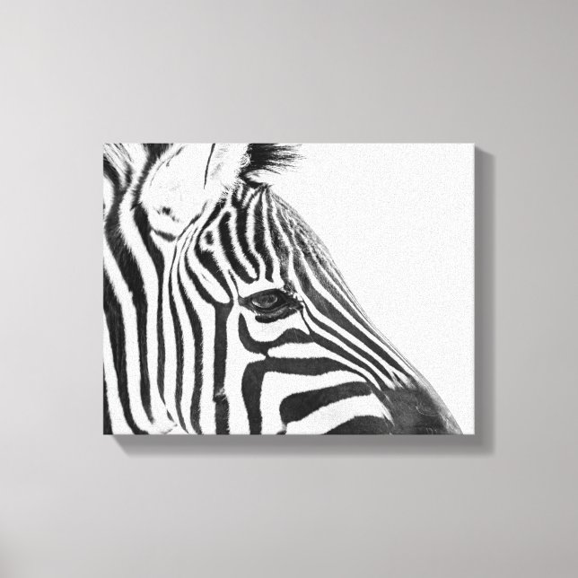 1318-Zebra Canvas Print (Front)