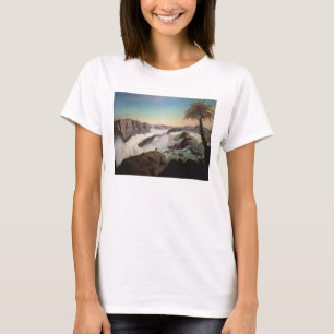 131-0059242 The Paulo Alfonso Falls, 1850 T-Shirt