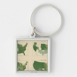 133 Increase value of farms 1850-1900 Key Ring