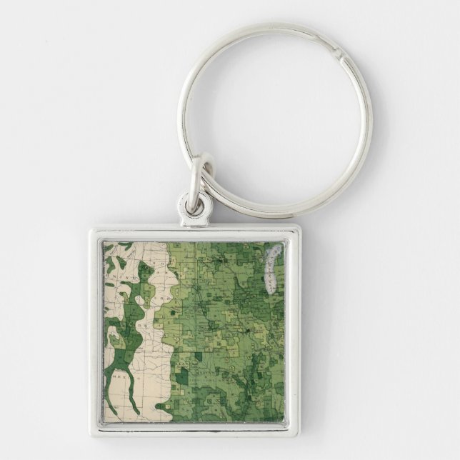 134 Value farm products 1900 Key Ring (Front)