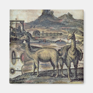 137-0627924 Illustration from a history of Peru sh Magnet