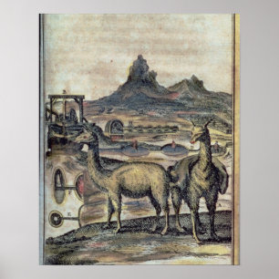 137-0627924 Illustration from a history of Peru sh Poster