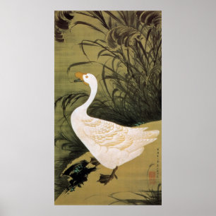 13. 芦鵞図, 若冲 Reed & Goose, Jakuchū, Japa Poster