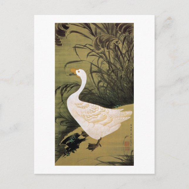 13. 芦鵞図, 若冲 Reed & Goose, Jakuchū, Japan Art Postcard (Front)