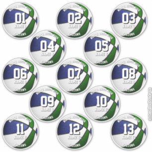 13 basketball stickers set blue green team colors