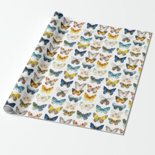 13 beautiful butterflies insect art watercolor wrapping paper