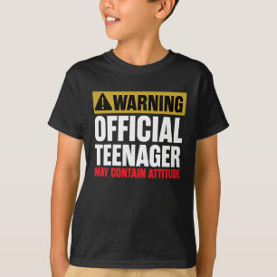 13 Birthday Official Teenager Boy 13yr Math 13th T-Shirt