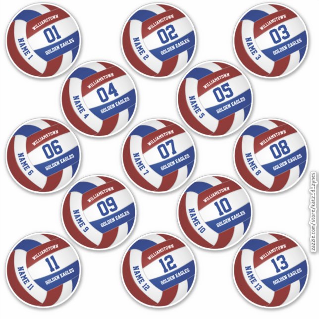 13 piece players' names maroon blue volleyball (Front)