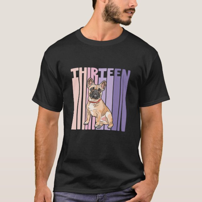 13 Year Old French Bulldog Frenchie Lover Birthday T-Shirt (Front)
