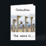 **13** YOU ARE NOW A TEENAGER **GRANDSON** CARD<br><div class="desc">HAPPY BIRTHDAY  ***GRANDSON**** THANKS FOR STOPPING BY ONE OF MY EIGHT STORES!</div>