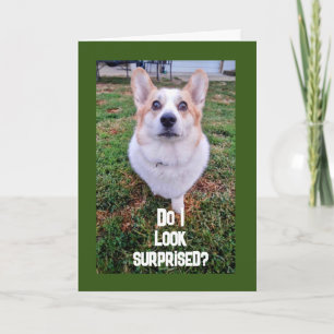 **13th BIRTHDAY** HOW DID THAT HAPPEN???? Card