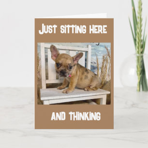 **13th BIRTHDAY** HOW DID THAT HAPPEN???? Card