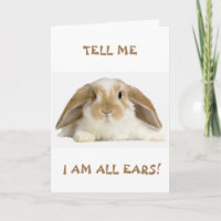 **13th** BIRTHDAY HUMOR FROM *FUNNY BUNNY" Card