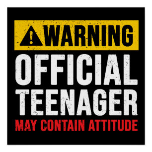 13th Birthday Official Teenager Poster