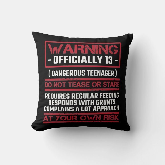 13th Birthday Officially Teenager 13 Year Old Kid Cushion (Front)