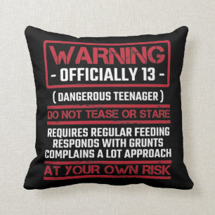 13th Birthday Officially Teenager 13 Year Old Kid Cushion