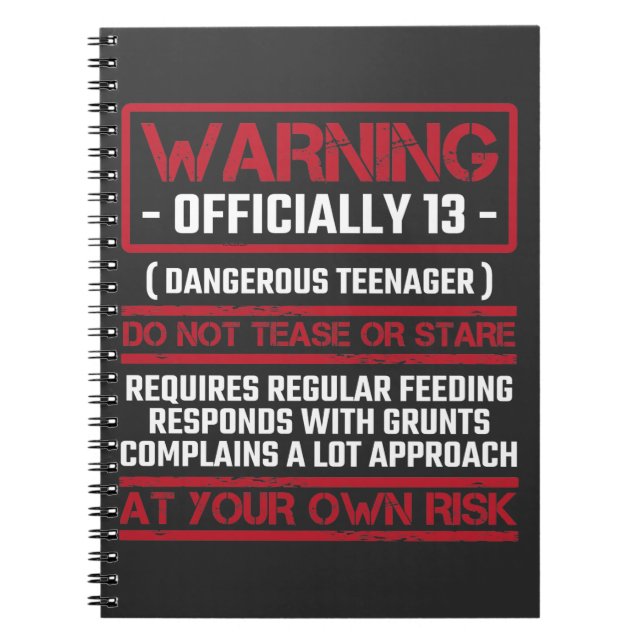 13th Birthday Officially Teenager 13 Year Old Kid Notebook (Front)