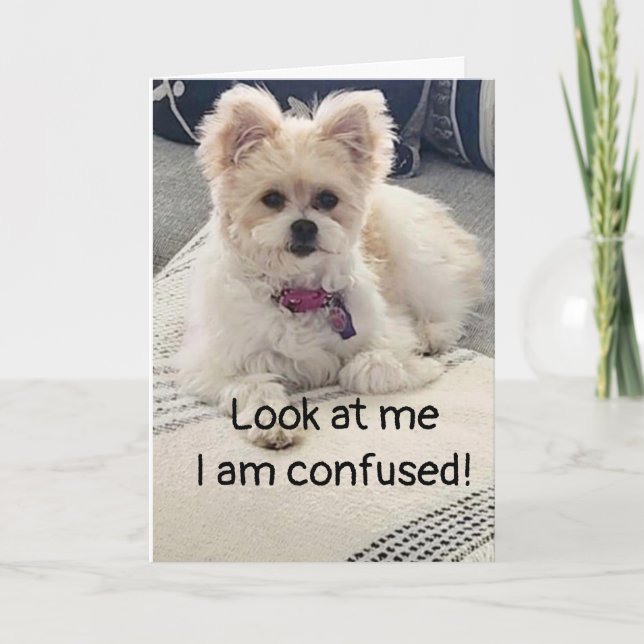 **13th BIRTHDAY** SO VERY CONFUSED! Card (Front)